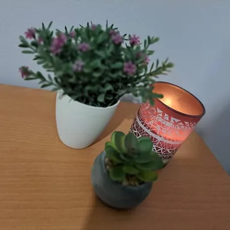 Апартаменты Lydia's Cozy House Парадейси